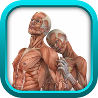 Medical Physiology Review Game for USMLE Step 1 and COMLEX Level 1 SCRUB WARS LITE