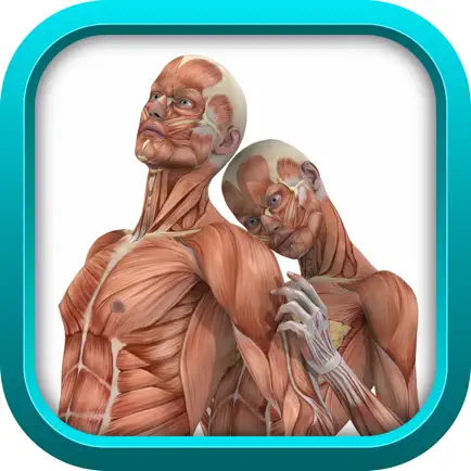 Medical Physiology Review Game for USMLE Step 1 & COMLEX Level 1 (SCRUB WARS) LITE Cheats
