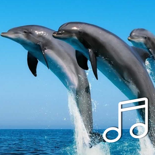 Dolphin Sounds Relax and Sleep With Calming Music icon