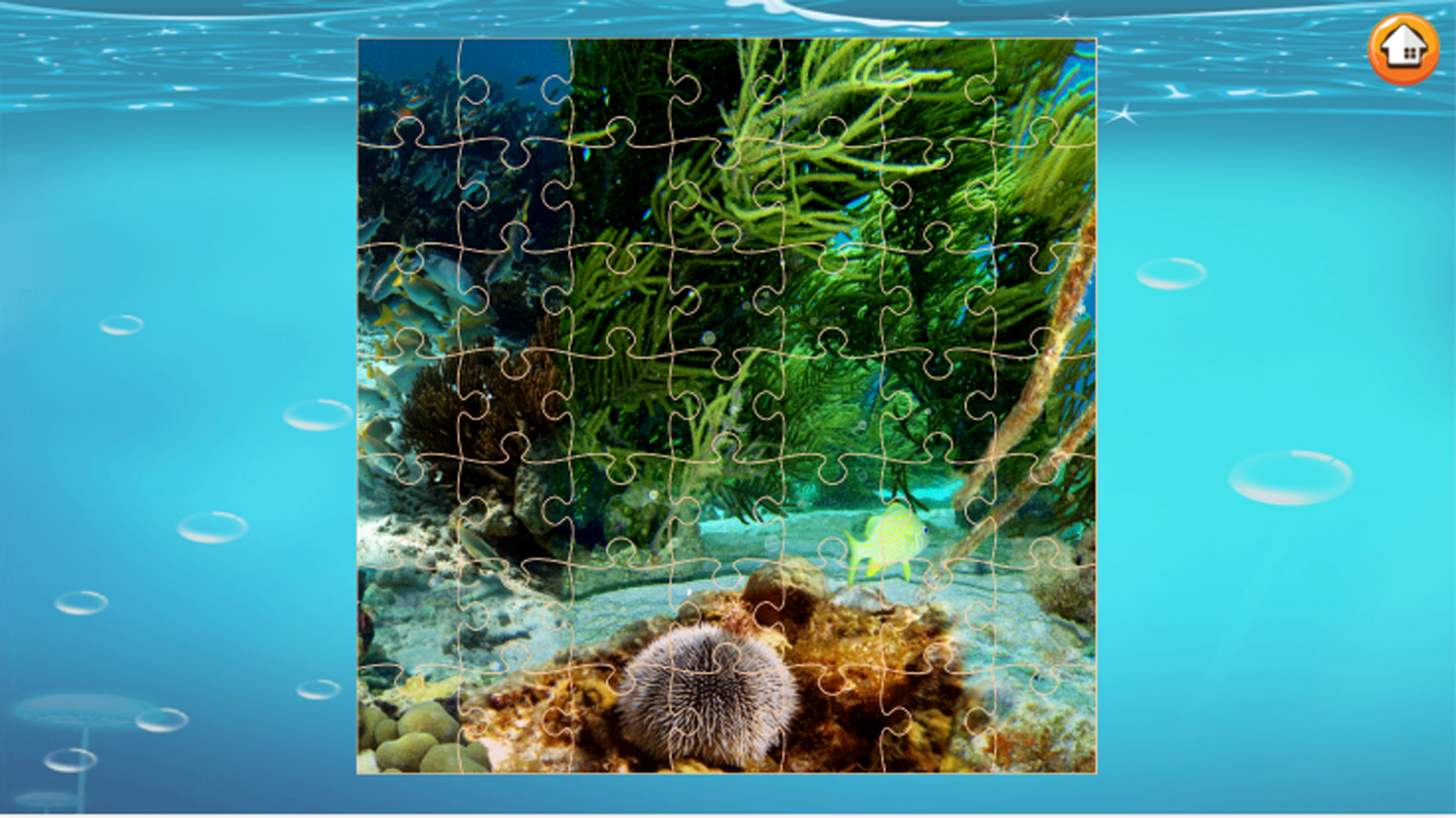 Finding Cute Fish And Sea Animal In The Cartoon Jigsaw Puzzle - Educational Solving Match Games For Kids