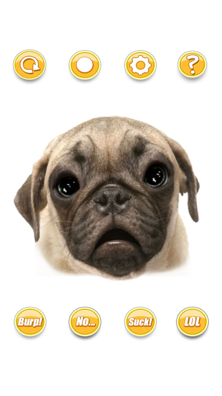 Talking Pug The Puppy Dog For Your iPhone screenshot 3