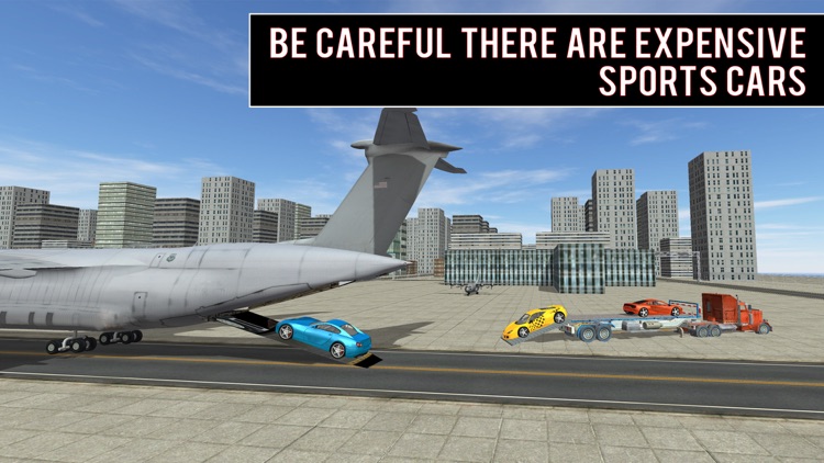 Modern Car Transporter plane screenshot-4