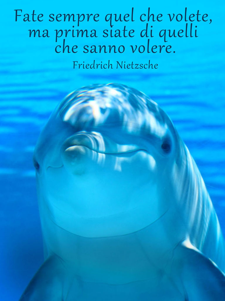 Frasi belle - Immagini con frasi sagge, aforismi e citazioni sulla vita