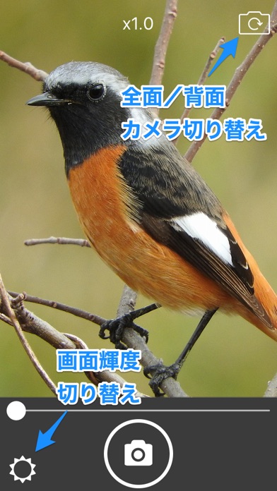 Screenshot of WellCamカメラ（高画質・簡単操作）