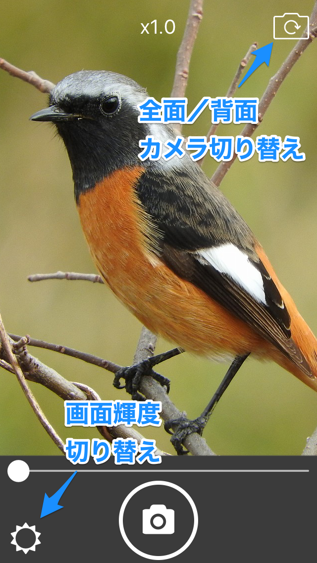 Screenshot #2 pour WellCamカメラ（高画質・簡単操作）