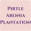 Pirtle Aronia Plantation