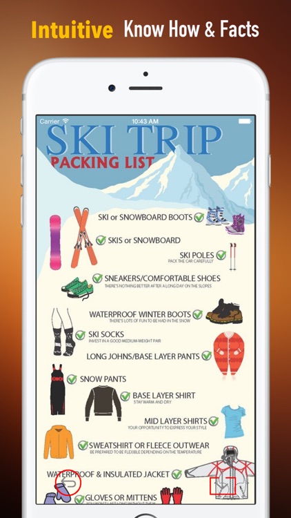 Ski for Beginners: Tutorial and Tips