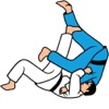 Judo examen technieken