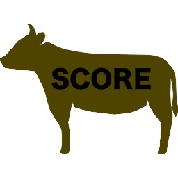 Score Calculator for Agricola