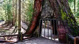 Game screenshot Yosemite National Park Escape mod apk