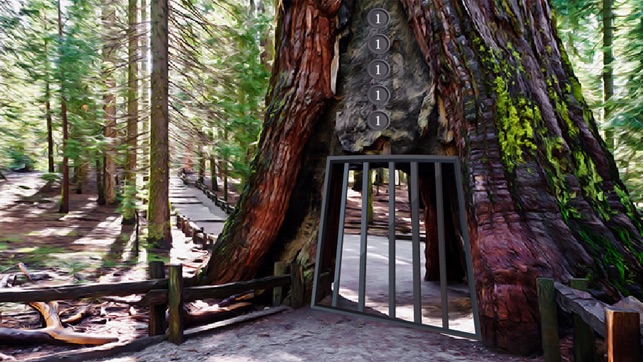 Yosemite National Park Escape(圖1)-速報App