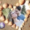 Icon HoneyMoon Beach Photo Frames - Decorate your moments with elegant photo frames