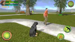 Game screenshot Rottweiler Dog Life Simulator apk