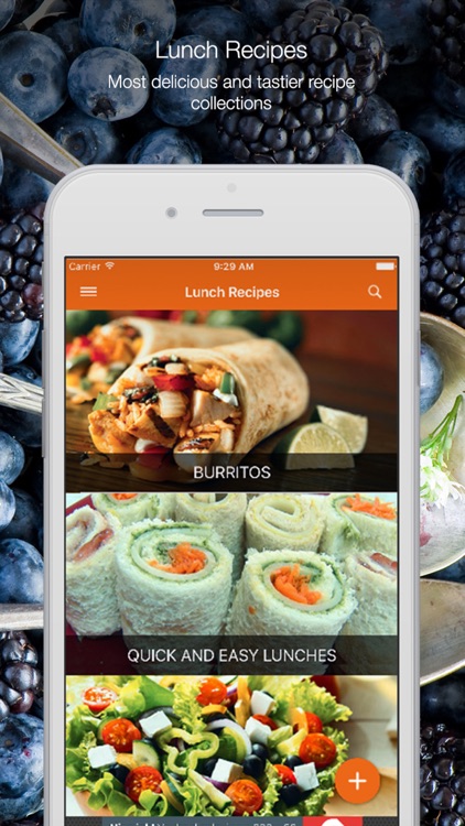 Lunch Recipes Free