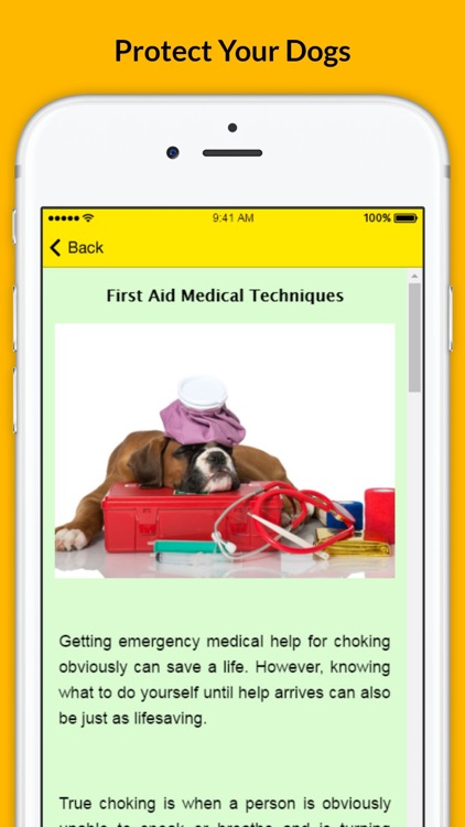 Pet First Aid - Responsibilities of a Pet Owner
