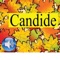 Voltaire’s famous philosophical satire is offered here in French in a double version: text and audio