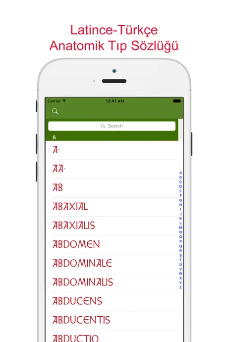 Flashcards - learn by writing