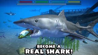 Ultimate Shark Simulatorのおすすめ画像1