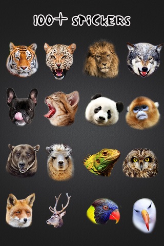 Animal Face Morph Pro - Sticker Photo Editor to Blend Yr Skin with Wild Effects screenshot 4