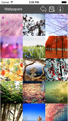 Wallpaper Collection Nature Editionのおすすめ画像4