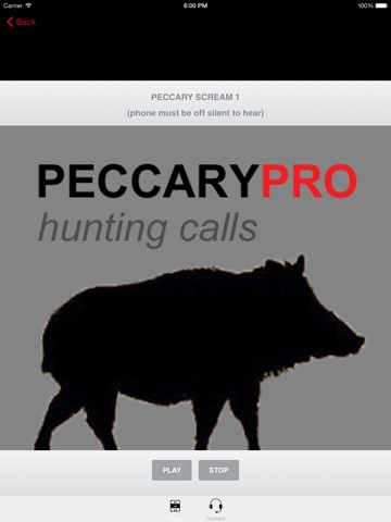 REAL Peccary Calls and Peccary Sounds for Peccary Hunting screenshot 2