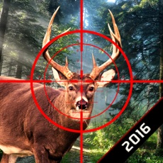 Activities of Forest Wild Deer Hunting 2016 - Adventure Sniper Shooting Game