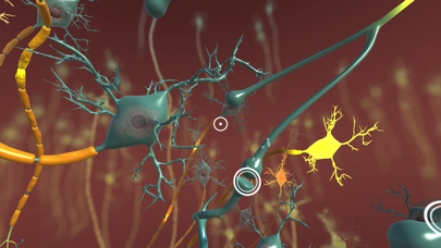 INVIVO Bloodstream Explorer VR screenshot