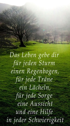 Weisheiten und Segenswünsche aus Irland - Irische Segenssprüche , Zitate & Lebensweisheiten screenshot 2
