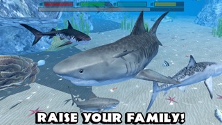 Ultimate Shark Simulatorのおすすめ画像5