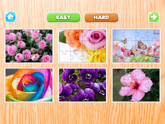 Flowers Puzzle for Adults Jigsaw Puzzles Game Free iPad screenshot