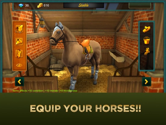 Jumping Horses Champions 2 на iPad