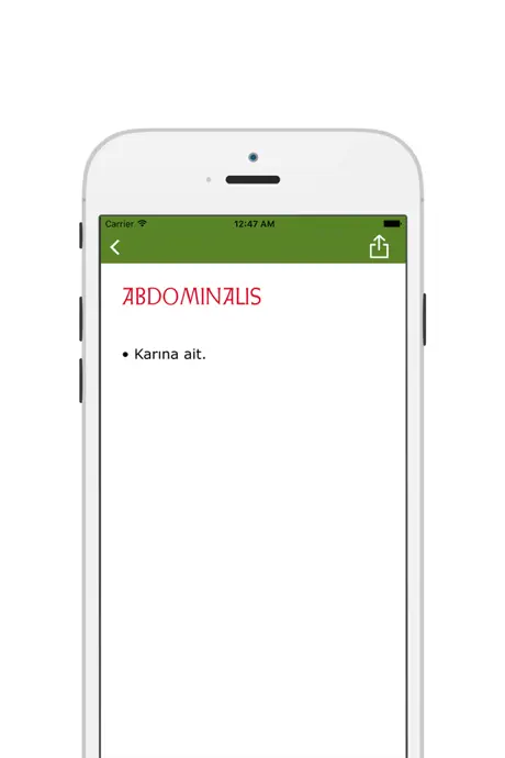Flashcards - learn by writing