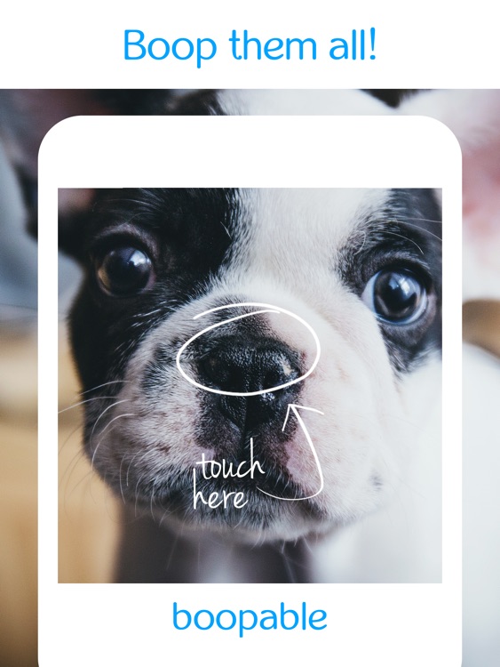 Boopable+