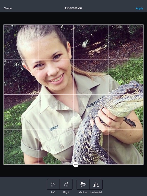 صانع الالبومات برنامج البومات والصور والمؤثرات iPad screenshot 5 - Photo & Video app