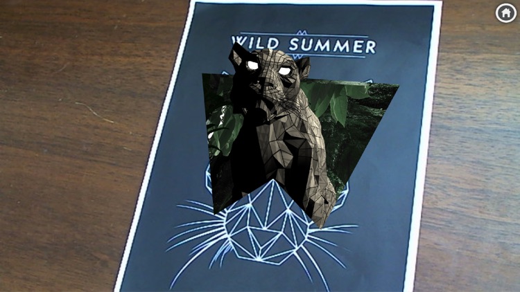 WildSummer