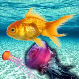 Underwater Sea Simulation app icon