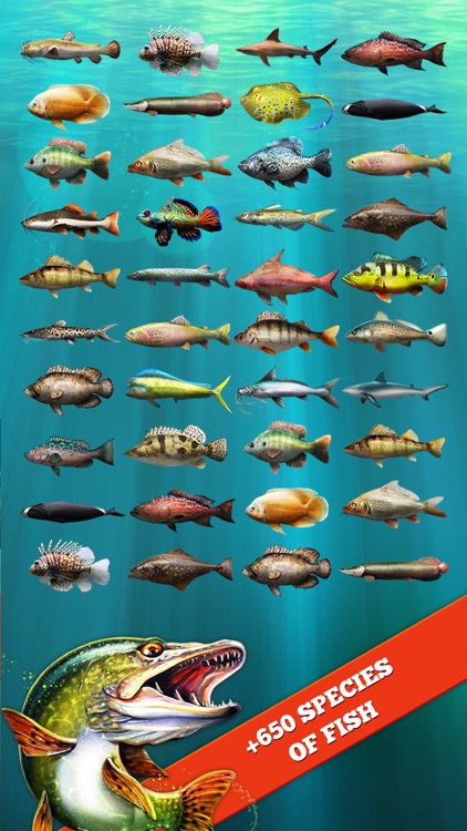 Let's Fish: Sport Fishing Games. Bass Simulator