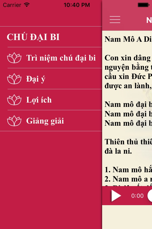 Thần Chú Đại Bi screenshot 2