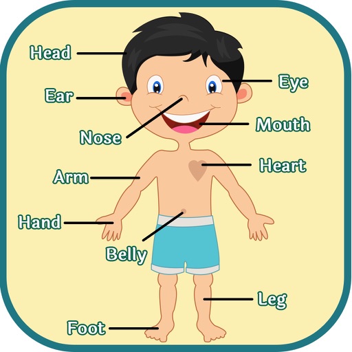 Learning Human Body Parts - Baby Learning Body Parts icon