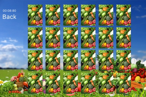 Vegetable World screenshot 3