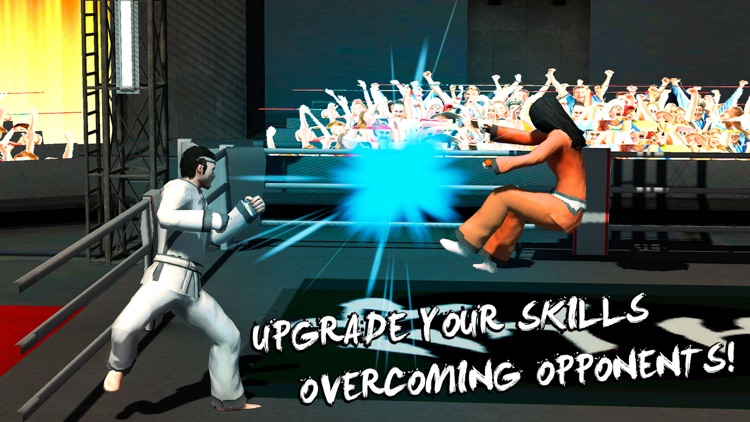 Karate Do Fighting Tiger 3D Full