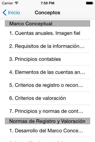 Plan General de Contabilidad screenshot 2