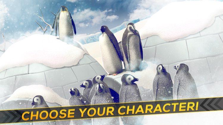 Penguin Simulator 2016 | Crazy Racing Penguins Game Free screenshot-3