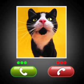屏幕截图 (3) Fake Call Cat Prank