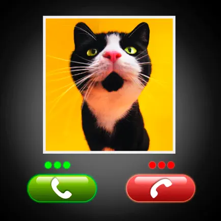Fake Call Cat Prank Cheats