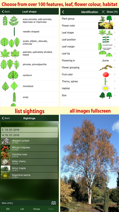 Tree Id USA - identify over 1000 of America's native species of Trees, Shrubs and Bushes Screenshot