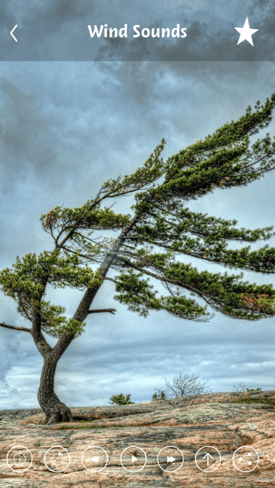 Screenshot #3 pour Wind sounds:Calming sounds of nature for relaxation and forest ambience for stress relief