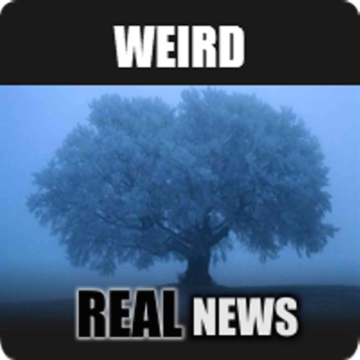 Weird Real News