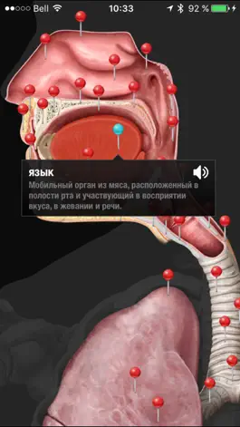 Game screenshot Виртуальное человеческое тело hack