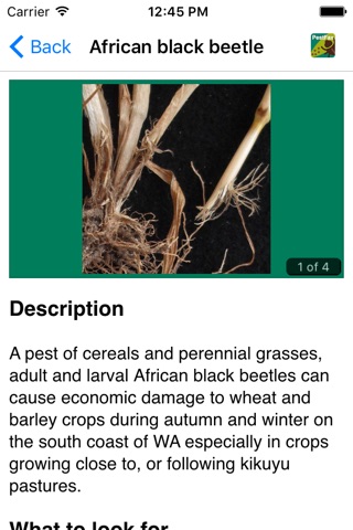 MyCrop Oats screenshot 4